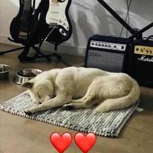 Meet your Posher, Sharon